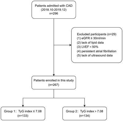 Association between the triglyceride–glucose index and left ventricular myocardial work indices in patients with coronary artery disease